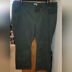 Green Westbound Plus-Size Pull-On Pants